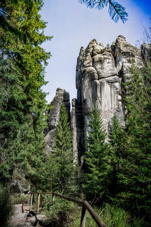 Bosque denso con rocas altas en Adrspach Teplice, República Checa