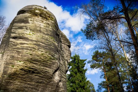 Photo for Large Rock Amidst Forest in Adrpach Teplice Rock Formation - Royalty Free Image