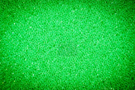 Vibrant vert éponge texture fond