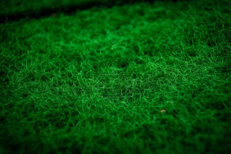 Vibrant côté rugueux vert d'une éponge Fermer