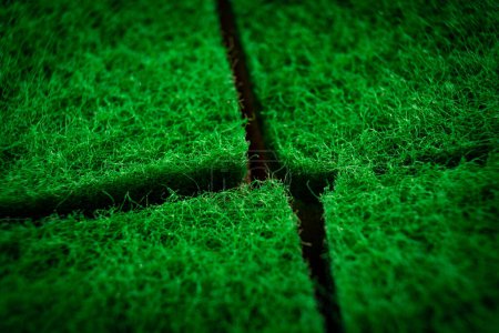 Gros plan détaillé de la surface verte luxuriante de gazon