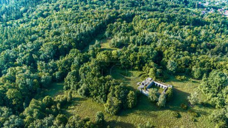 An aerial perspective showing the ruins of a Nazi temple, known as the Mausoleum, nestled in the dense forest of Walbrzych in Poland