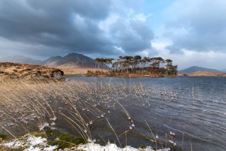 Foto de Tormenta Ofelia dejó el país bañado pero Connemara era claro agradable y ventoso - Imagen libre de derechos