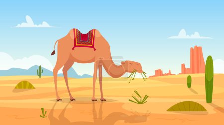 Téléchargez les illustrations : Contexte du désert. Paysage africain avec groupe de chameaux extérieur désert vecteur dessin animé image. Voyage africain paysage, illustration de chameau de transport - en licence libre de droit