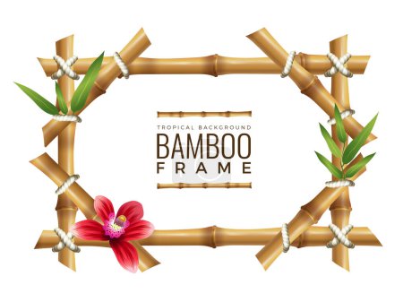 Illustration for Bamboo frames background. Asian nature geometrical frame with place for your text wooden tropical vector mockup. Illustration bamboo frame with rope - Royalty Free Image