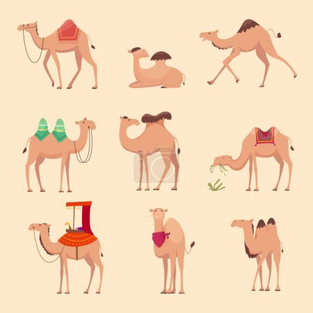 Téléchargez les illustrations : Des chameaux du désert. Animaux drôles africains pour voyager à travers les images vectorielles africaines ou égyptiennes. chameau mammifère africain, monter animal dromadaire illustration - en licence libre de droit