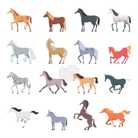 Illustration for Horse breeds. Strong beautiful domestic animals in action poses jumping and walking pony vector set. Illustration horse animal, strong mammal purebred - Royalty Free Image