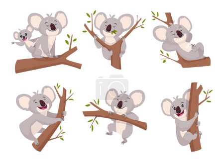 Ilustración de Oso Koala. Vida silvestre lindo peludo animal de australia zoológico personajes dibujos animados ducha símbolos vector colección. Ilustración mamífero koala con eucalipto, oso feliz adorable salvaje - Imagen libre de derechos