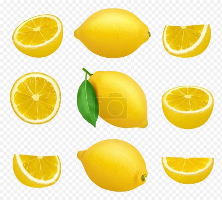 Téléchargez les illustrations : Collection de citrons. Image réaliste de jus jaune d'agrumes aliments naturels produits naturels sains images vectorielles. Fruits alimentaires agrumes sain, jus frais citron illustration - en licence libre de droit