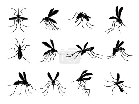 Illustration for Mosquito. Flying insects carriers of viruses bloodsuckers vector drawn mosquitos. Insect mosquito, bloodsucking malaria pest illustration - Royalty Free Image