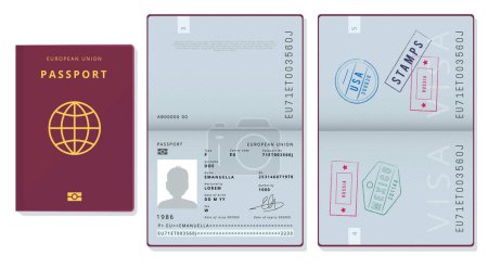 Illustration for Passport template. Official id document visa sapling pages cards legal travel badges vector pictures. Illustration official passport id, european union document - Royalty Free Image