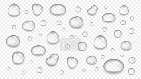 Illustration for Realistic transparent water drops. Glass sphere, isolated rain elements. Liquid blobs vector illustration. Transparent drop clear, wash bubble freshness, condensation sphere water - Royalty Free Image
