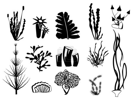 Téléchargez les illustrations : Silhouettes d'algues. Plantes fluviales sous-marines algues océan botanique faune vectorielle symboles graphiques. Illustration algues nature, aquarium plante sous-marine - en licence libre de droit