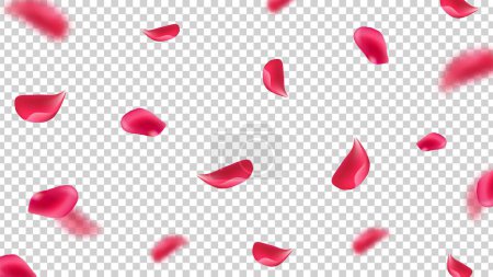 Illustration for Falling pink petals. Flying rose leaves on transparent background. Realistic floral botanical vector illustration. Softness falling seasonal rose fall - Royalty Free Image