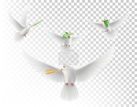 Illustration for Realistic pigeons with branches. White flying doves isolated vector set. Illustration realistic pigeon with green branch - Royalty Free Image