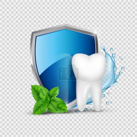 Illustration for Tooth protection. White tooth, shield and mint, water splash. Dental healthy concept vector illustration. Dental tooth and shield protection care - Royalty Free Image