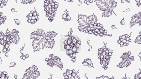 Illustration for Grape pattern. Vine seamless texture, plants and leaves. Sketch vineyard and wine raw elements vector background. Illustration vine and grape, seamless pattern grapevine - Royalty Free Image
