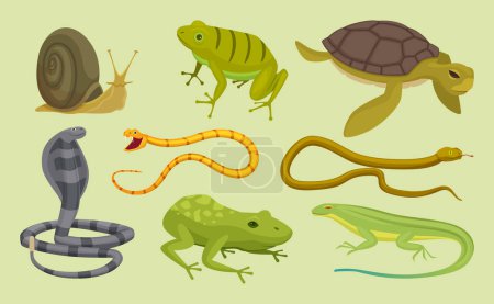 Illustration for Reptiles set. Lizard snake turtles snail cartoon vector wild animals. Lizard and turtle, snake animal reptile illustration - Royalty Free Image