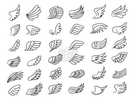 Illustration for Feather wings. Freedom symbols fly elements ornamental wings of birds or angels drawing vector collection. Illustration feather freedom, collection angel icon - Royalty Free Image