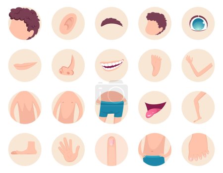 Illustration for Body parts. Human anatomy head legs fingers nose hands back belly vector fragments collection. Back and head human, foot and hand illustration - Royalty Free Image