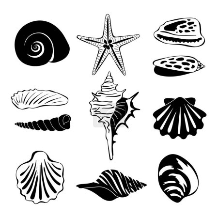 Illustration for Black monochrome illustration of marine shells. Vector silhouette isolate. Seashell exotic souvenir, spiral maritime shells - Royalty Free Image