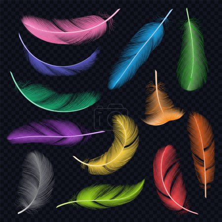 Illustration for Colored feathers. Eye catcher native american decoration vector realistic template of air fly feathers. Feather fly multicolored, bright plumage illustration - Royalty Free Image