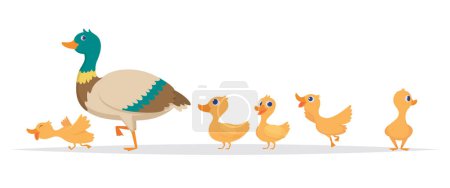 Illustration for Mother duck. Row of wild ducks birds family walking vector cartoon collection. Duck mother, wild duckling illustration - Royalty Free Image