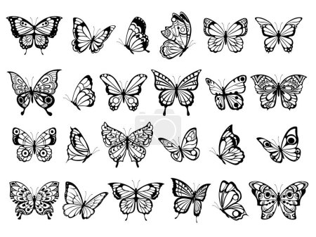Téléchargez les illustrations : Collection de papillons. Belle nature volant insectes papillons exotiques avec des ailes drôles illustration vectorielle - en licence libre de droit