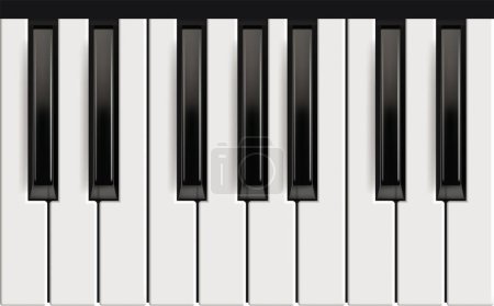 Illustration for Piano keys. Realistic musical instrument for jazz band white and black keys with reflection effects vector picture. Piano octave, acoustic instrument, keyboard black white classic illustration - Royalty Free Image