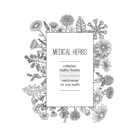 Illustration for Herbs frame. Herbal background design for spa medical concept nature herbs plants hand drawn vector template. Illustration herb medical, natural organic herbal - Royalty Free Image
