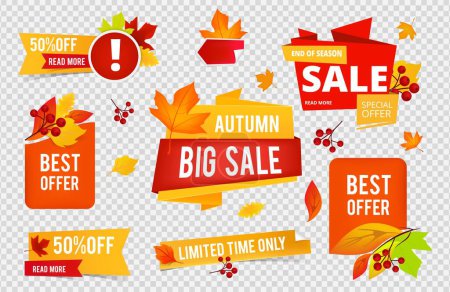 Illustration for Autumn sale badges collection. Fall sales vector banners labels with red orange leaves isolated on transparent background. Illustration autumn sale badges with leaf and rowan - Royalty Free Image