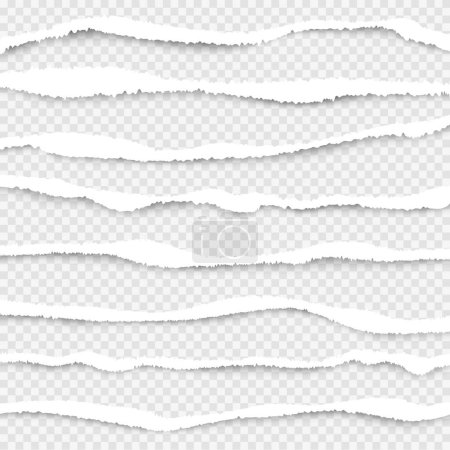 Ilustración de Papel roto. Corte bordes de papel blanco vector líneas rasgadas colección de texturas realistas. Borde rasgado horizontal, chatarra gráfica, ilustración de daño de tira - Imagen libre de derechos
