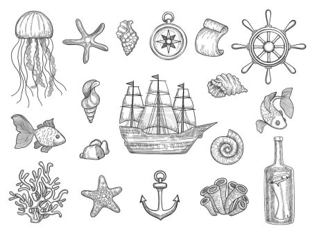Illustration for Marine symbols. Fish ship shells boats ocean symbols sailboat vector nautical collection. Illustration of boat, marine shell and anchor, fish and starfish - Royalty Free Image