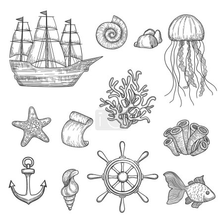 Illustration for Nautical elements. Ocean fish shells boats ships knot travel marine symbols vector hand drawn collection. Ocean and sea marine elements, boat and shell illustration - Royalty Free Image