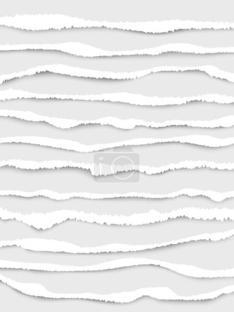 Ilustración de Borde de papel rasgado. Corte tiras blancas notas líneas rasgadas vector colección realista. Borde rasgado papel, tira de chatarra hoja ilustración - Imagen libre de derechos