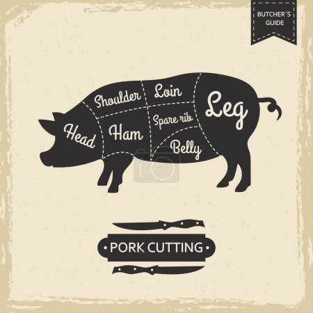 Ilustración de Biblioteca de carniceros página vintage - corte de cerdo diseño de póster vectorial. Carta de carnicería ilustración de jamón y cabeza, pierna y vientre - Imagen libre de derechos