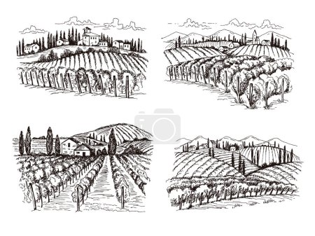 Téléchargez les illustrations : Le vignoble. Vieux château france paysage de vin illustrations vectorielles dessinées à la main pour les projets de conception d'étiquettes. Paysage viticole, ferme viticole - en licence libre de droit