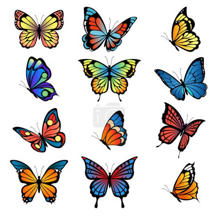 Illustration for Colored butterflies. Vector pictures of butterflies set. Butterfly summer with colored pattern wings illustration - Royalty Free Image