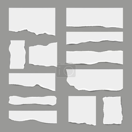 Ripped white paper. Torn light scrap note paper for notes pieces vector realistic pictures for banners. Illustration of torn paper, ripped page