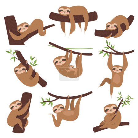 Illustration for Sloth on branch. Cute little kid sleepy animal on branch in zoo playing with baby hanging vector characters cartoon. Sloth lazy character, sleepy and laziness illustration - Royalty Free Image