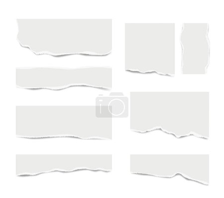 Illustration for Ripped paper. Broken white note paper for text messages different shapes vector realistic template. Ripped torn paper for reminder, variety and different ragged illustration - Royalty Free Image