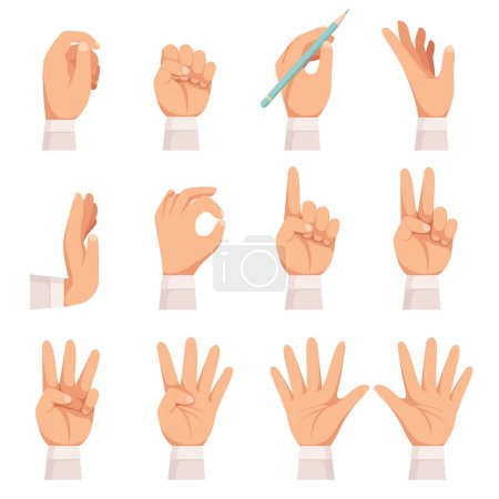 Téléchargez les illustrations : Mains en l'air. La paume humaine et les doigts touchent montrant pointant et tenant la collection de dessins animés vectoriels isolés. gestuelle main palme geste, doigts numéro collection - en licence libre de droit