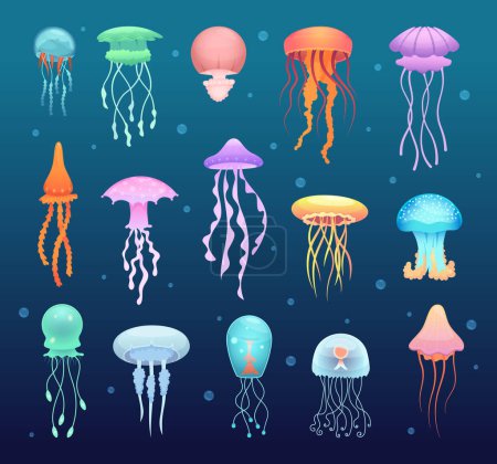 Illustration for Underwater jellyfish. Beautiful magic water jelly swimming animals vector collection. Jellyfish for aquarium and aquatic underwater wildlife illustration - Royalty Free Image