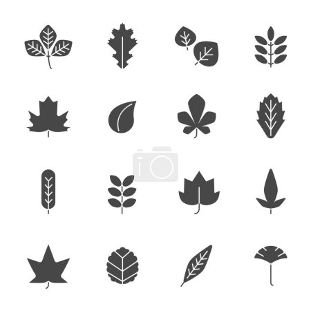 Illustration for Autumn leaves icons. Silhouettes of various autumn leaves. Vector leaf black, nature oak foliage illustration - Royalty Free Image