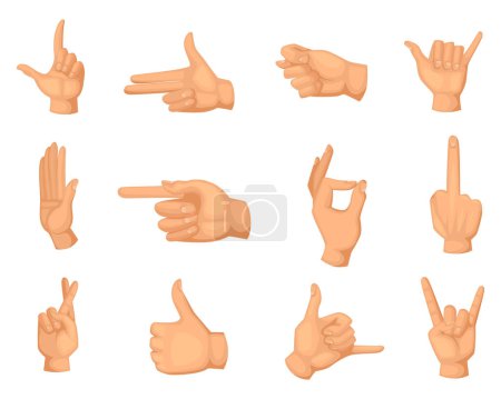 Illustration for Cartoon illustrations of hands gestures isolated on white. Thumb up and palm, fist and ok symbol vector - Royalty Free Image