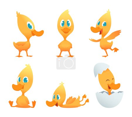 Illustration for Cartoon duck. Various action poses of funny duck. Vector clipart duckling character illustration - Royalty Free Image