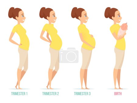 Illustration for Pregnancy stages. Happy mom with newborn child female pregnancy trimesters vector characters isolated. Illustration of motherhood, pregnant female - Royalty Free Image