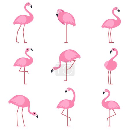 Illustration for Cartoon pictures of exotic pink bird flamingo. Vector illustrations isolate. Animal nature cartoon, wildlife drawing collection - Royalty Free Image