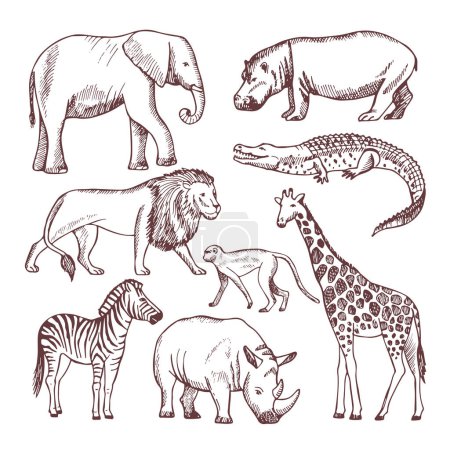 Téléchargez les illustrations : Différents animaux de savane et d'Afrique. Animaux sauvages safari, faune sauvage africaine. Illustration vectorielle - en licence libre de droit