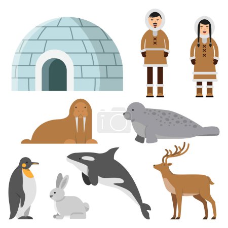 Téléchargez les illustrations : Polaires, animaux arctiques et résidents du nord près de la glacière eskimo. Maison igloo, pingouin et eskimo sibérien, renne et morse, illustration vectorielle - en licence libre de droit